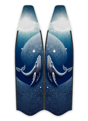 FINS IF002