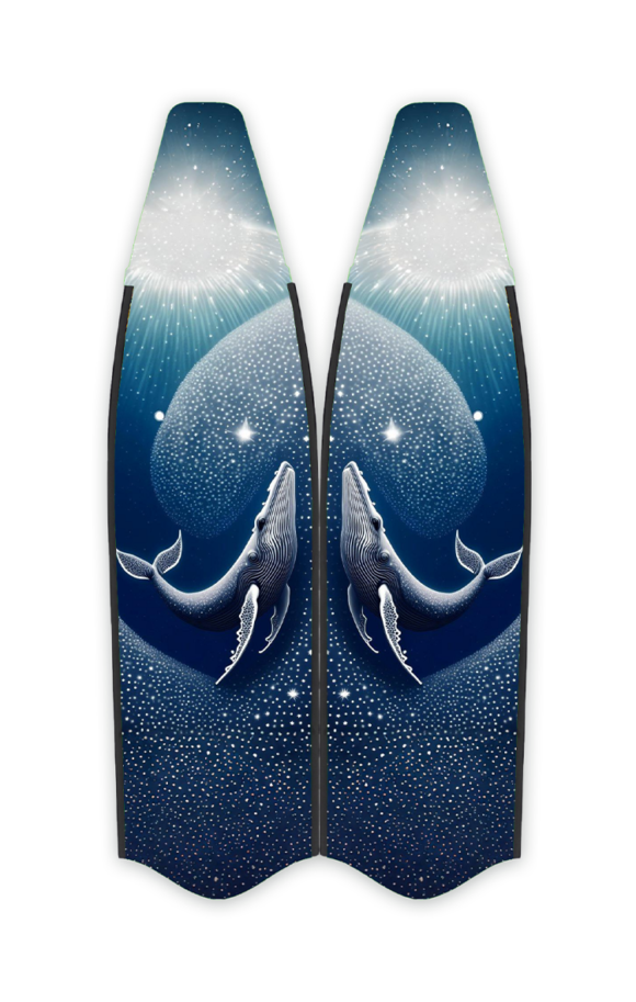 FINS IF002