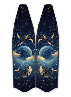 FINS IF020