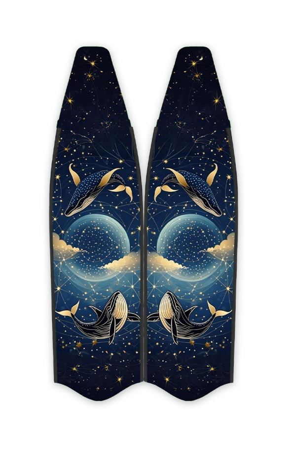 FINS IF020