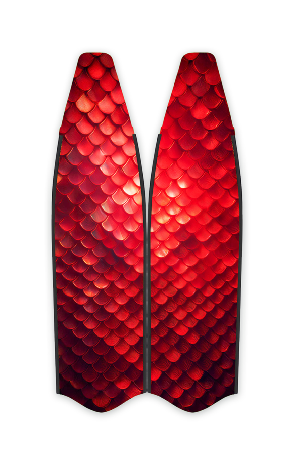 FINS IF079