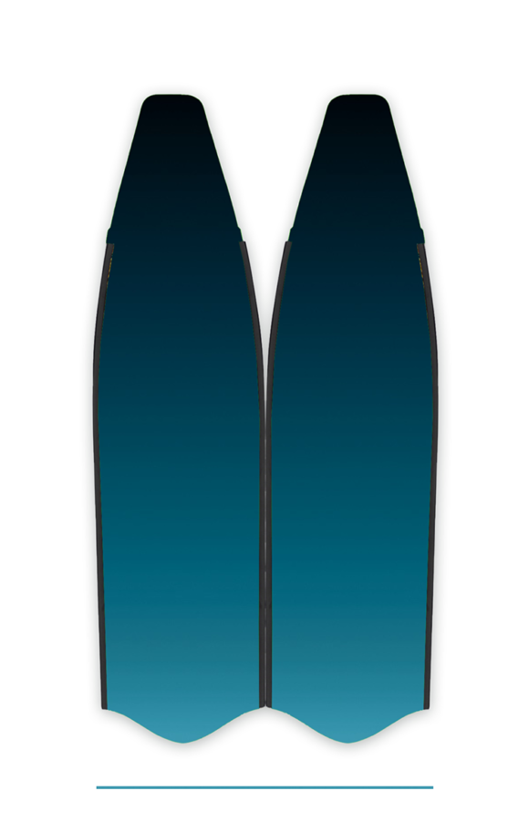 FINS IF081
