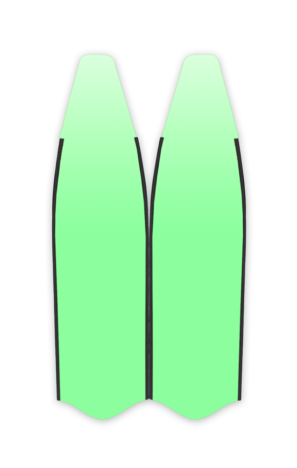 FINS IF095