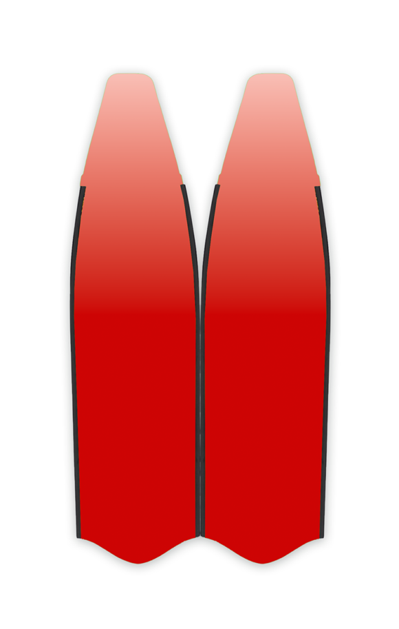 FINS IF097