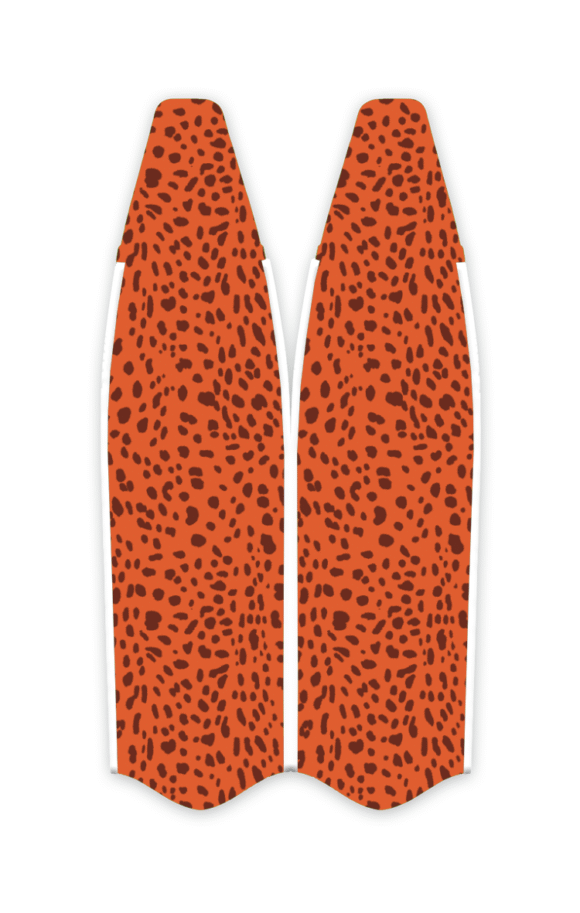 Inifins X Sahid Leopard Shark 02